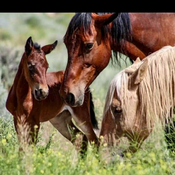 WIN IT WEDNESDAY $5 to $10 STARTS🎱🎱🎱🎱TIME TO CLEAN YOUR CLOSET 🎱🎱🎱🎱 - Picture 6 of 8